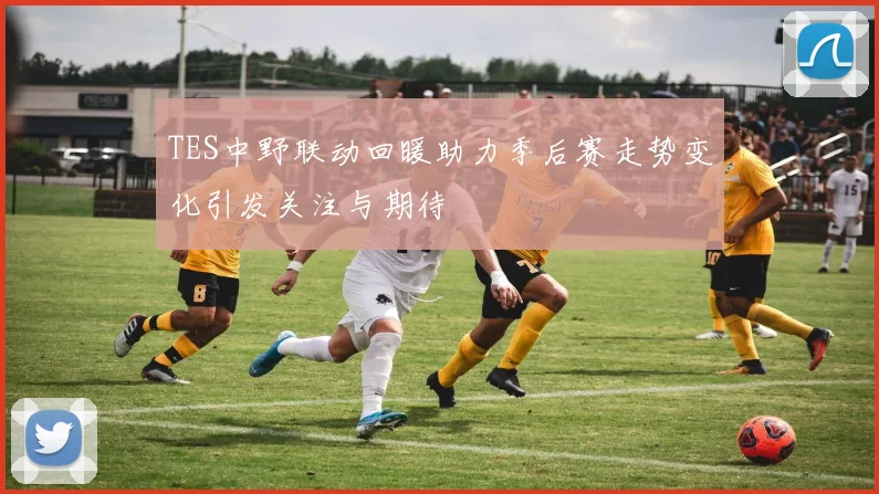 TES中野联动回暖助力季后赛走势变化引发关注与期待